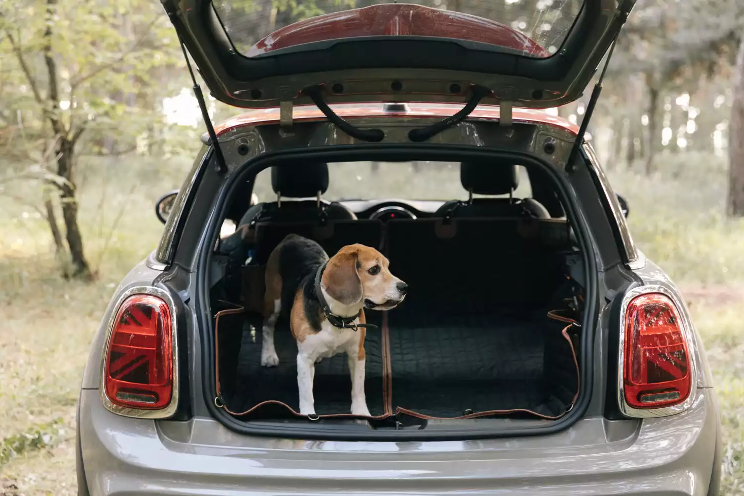 dog back seat cover for Cadillac XT5