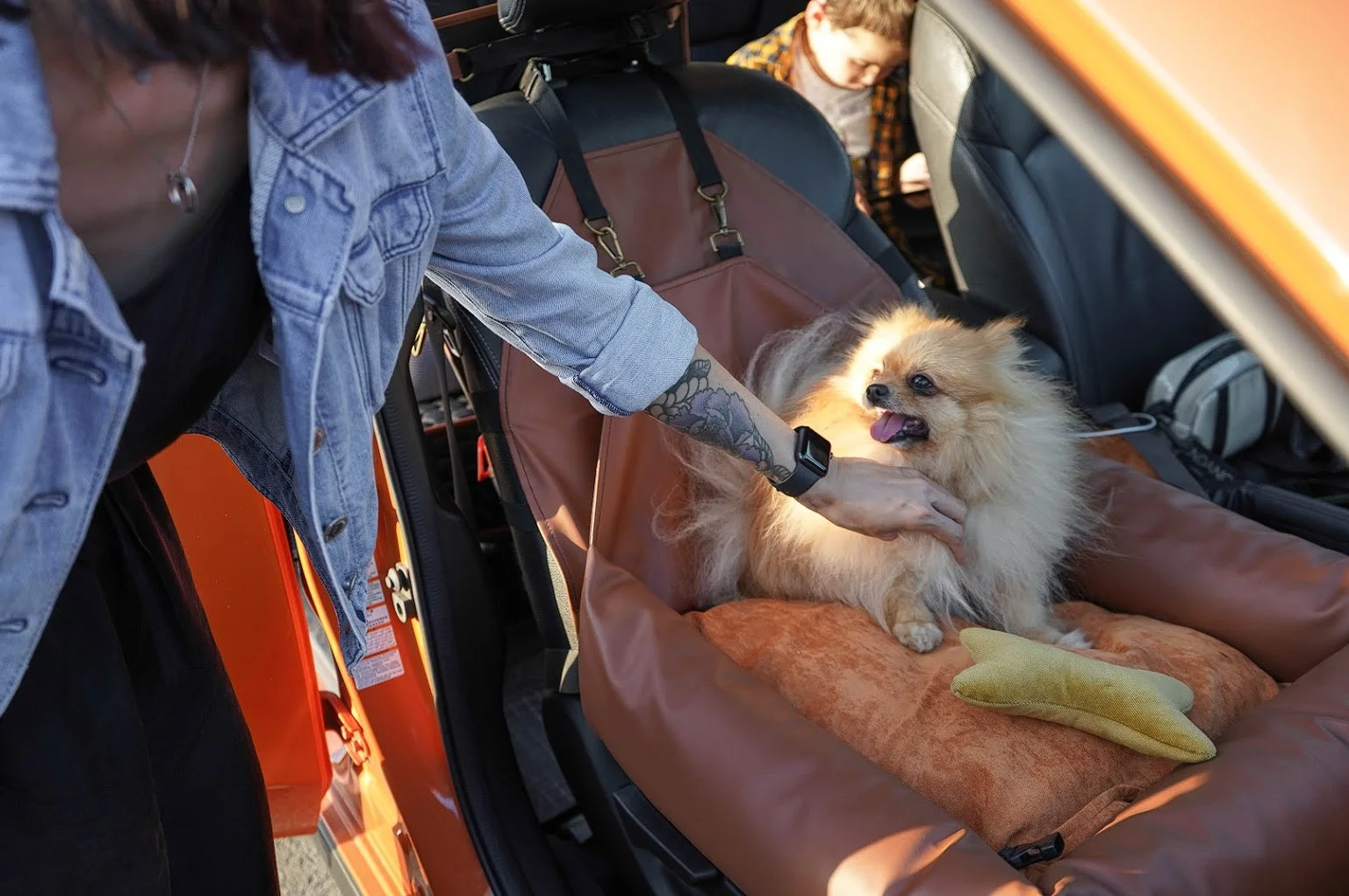 Chrysler Pacifica Dog Car Seat for Schipperke